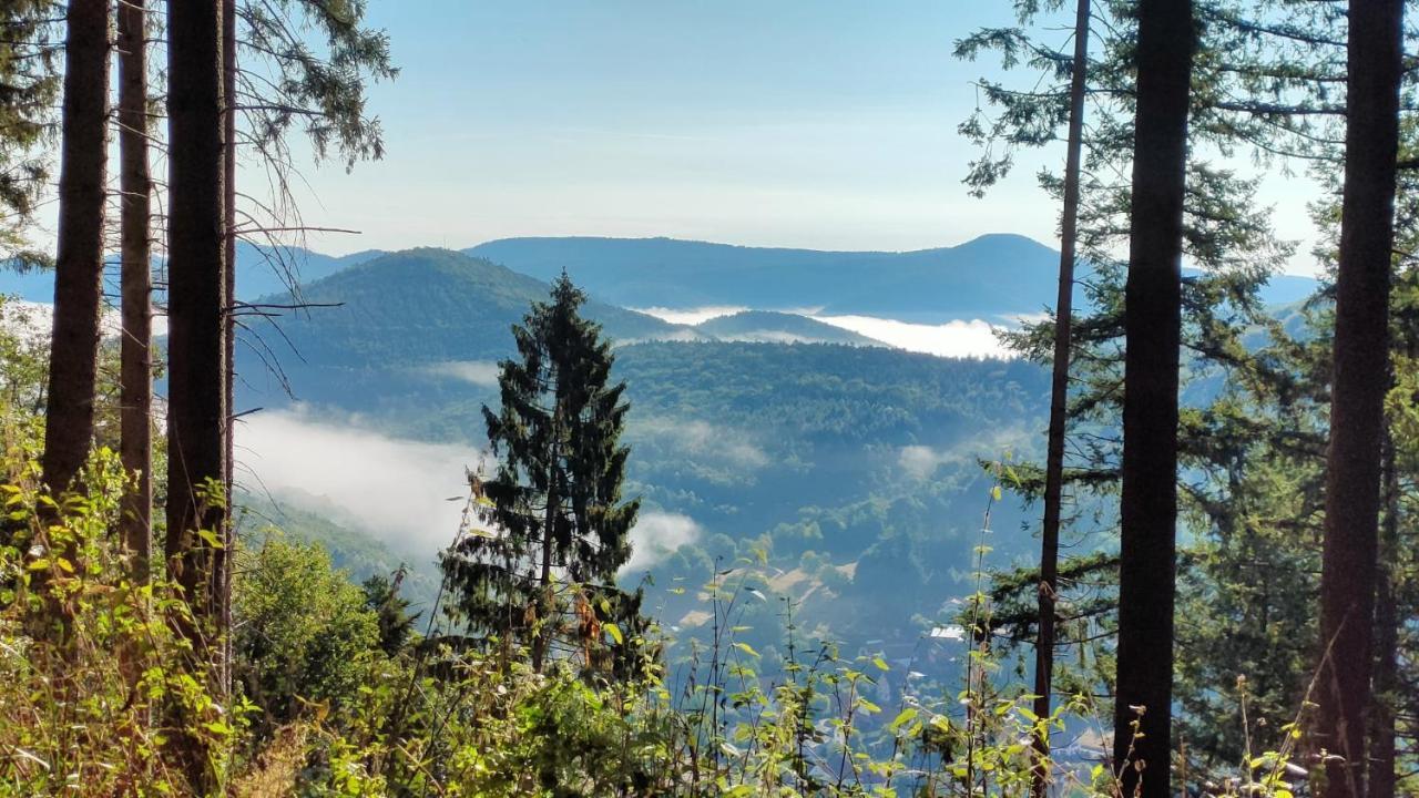 Gite Pour 2 Wingen Zewnętrze zdjęcie
